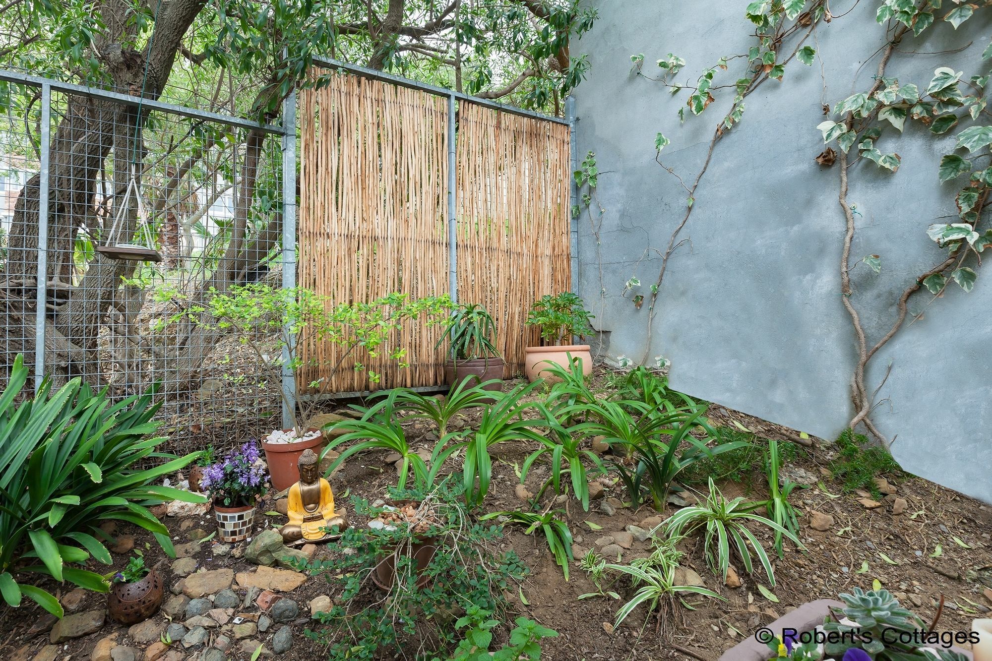 Robert'S Cottages Cape Town Exterior foto